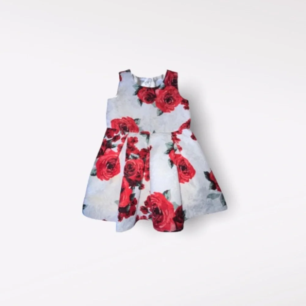 Children’s place Holiday dress size 3T
